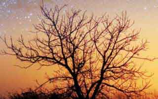 关于爱游戏体育官网我只说一句：先验真再操作，转给身边的人