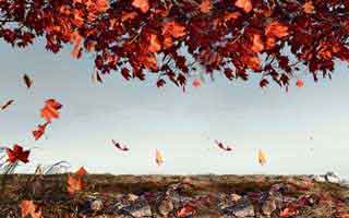 看到澳门六合彩3分相关群消息我直接警觉了：你能做的第一步是这个