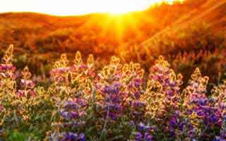 澳门時時彩相关页面突然换域名？这往往是逃避平台风控：越早止损越省心