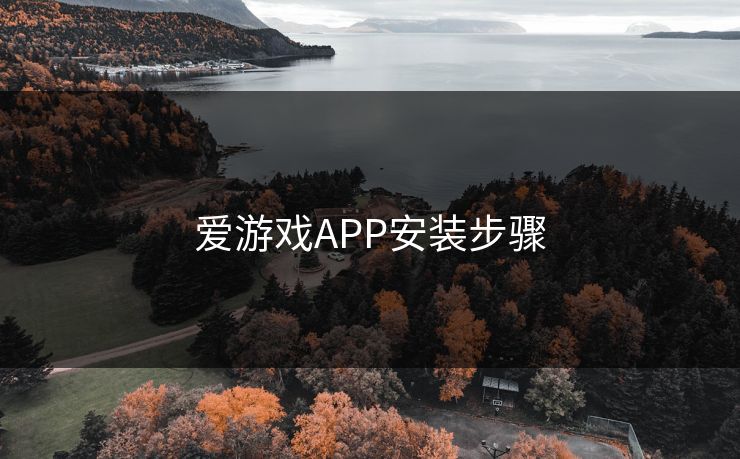 爱游戏APP安装步骤