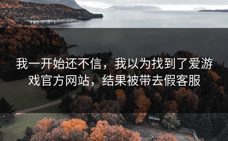 我一开始还不信，我以为找到了爱游戏官方网站，结果被带去假客服