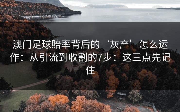 澳门足球賠率背后的‘灰产’怎么运作：从引流到收割的7步：这三点先记住