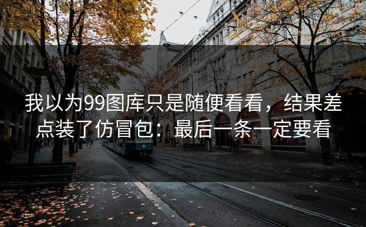 我以为99图库只是随便看看，结果差点装了仿冒包：最后一条一定要看